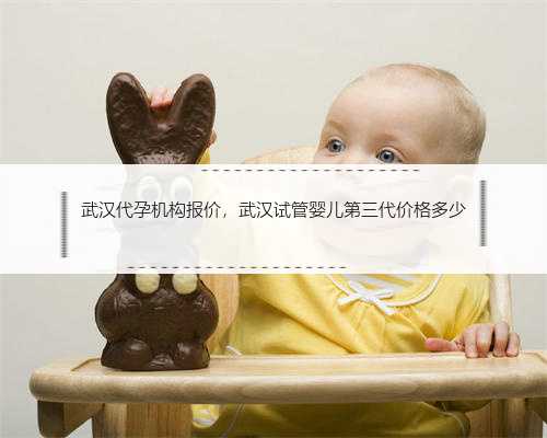 武汉代孕机构报价，武汉试管婴儿第三代价格多少
