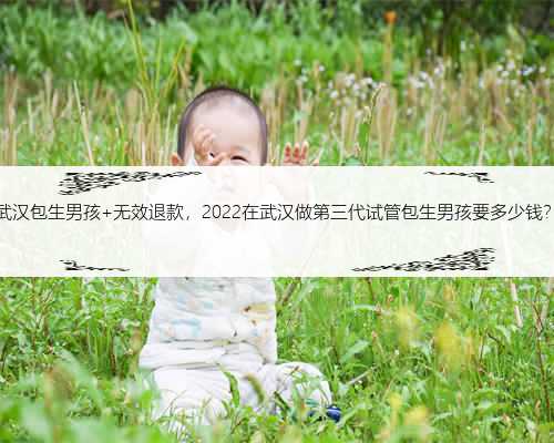 武汉包生男孩 无效退款，2022在武汉做第三代试管包生男孩要多少钱？