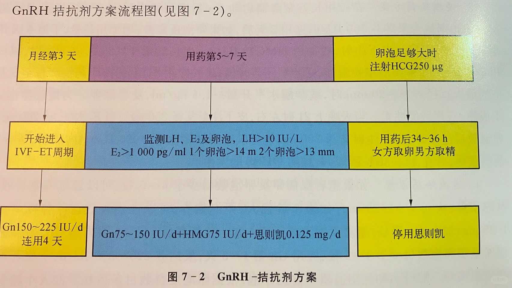 国内代怀网_试管婴儿代孕那家好,试管婴儿胚胎移植前准备如何调理子宫内膜？
