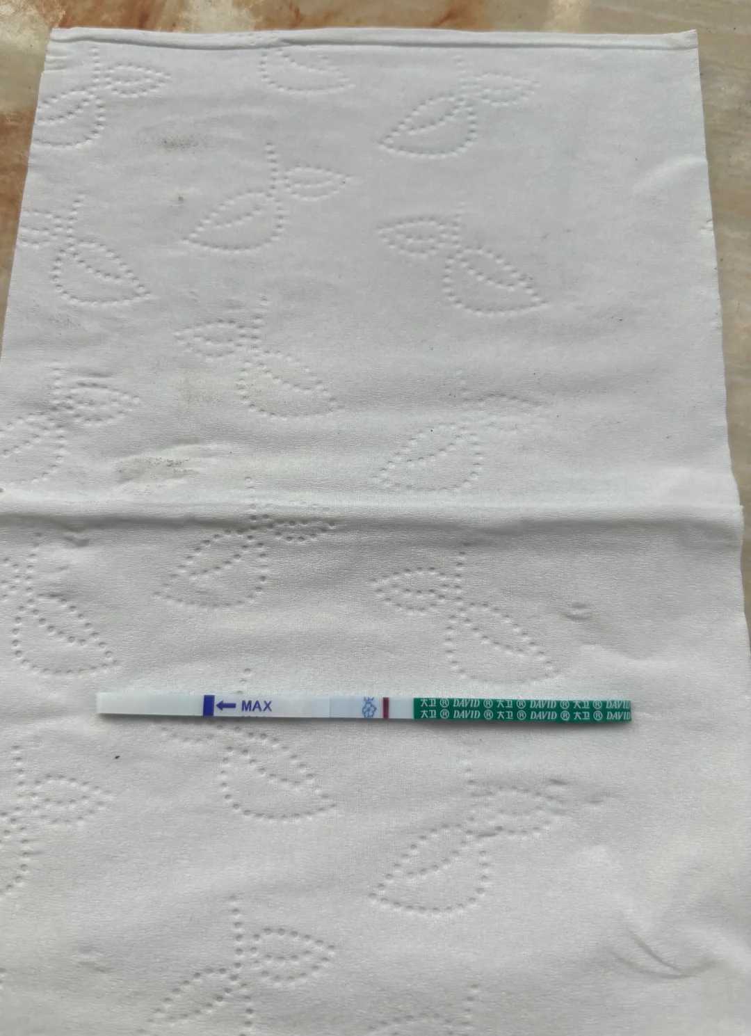 
              猫的粪便里的弓形虫是如何传染给人的？
            