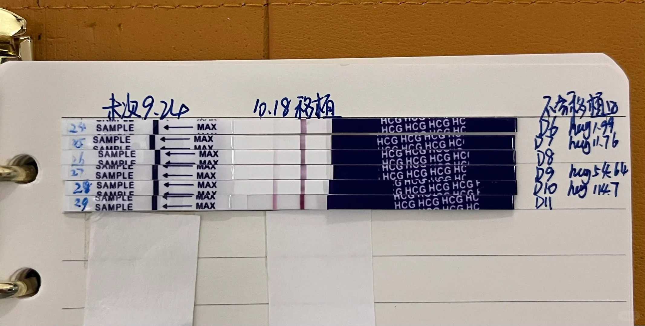 人工授精疼还是输卵管造影疼？