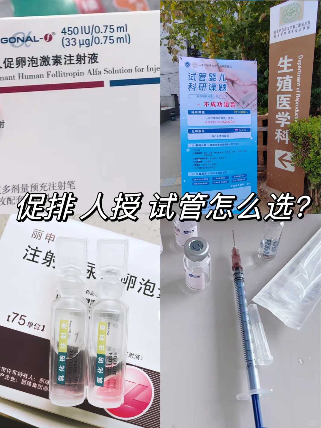 2024做供卵试管一次能成功大概费用是多少？