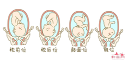 济南女子助孕多少钱，济南新生儿医保办理材料